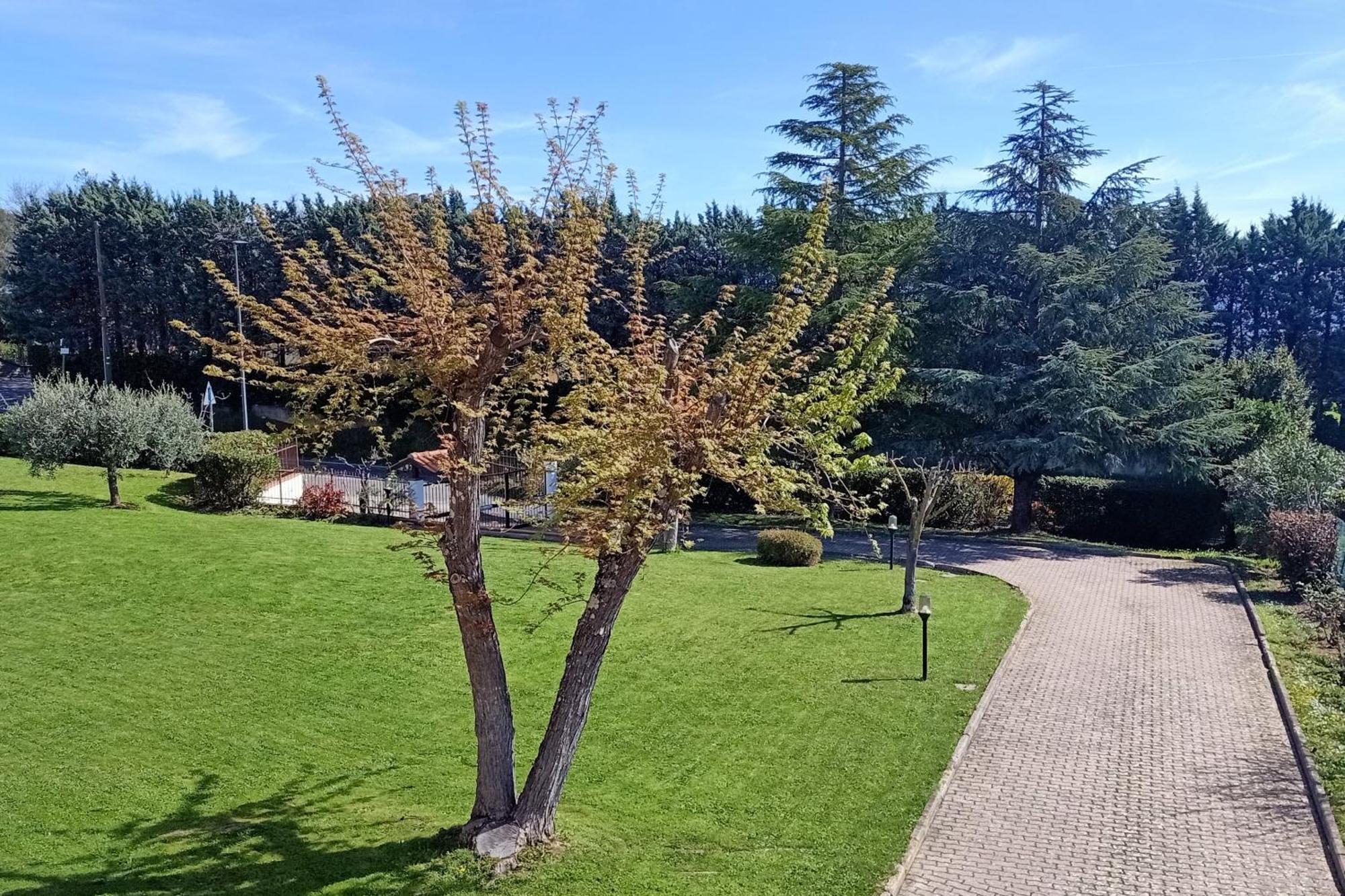 Casa Del Carmine Villa Anghiari Eksteriør billede